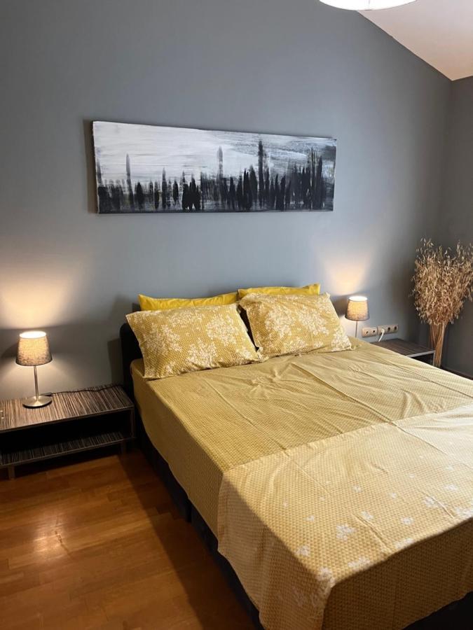 Apartment Palazzo Padini Costa *
